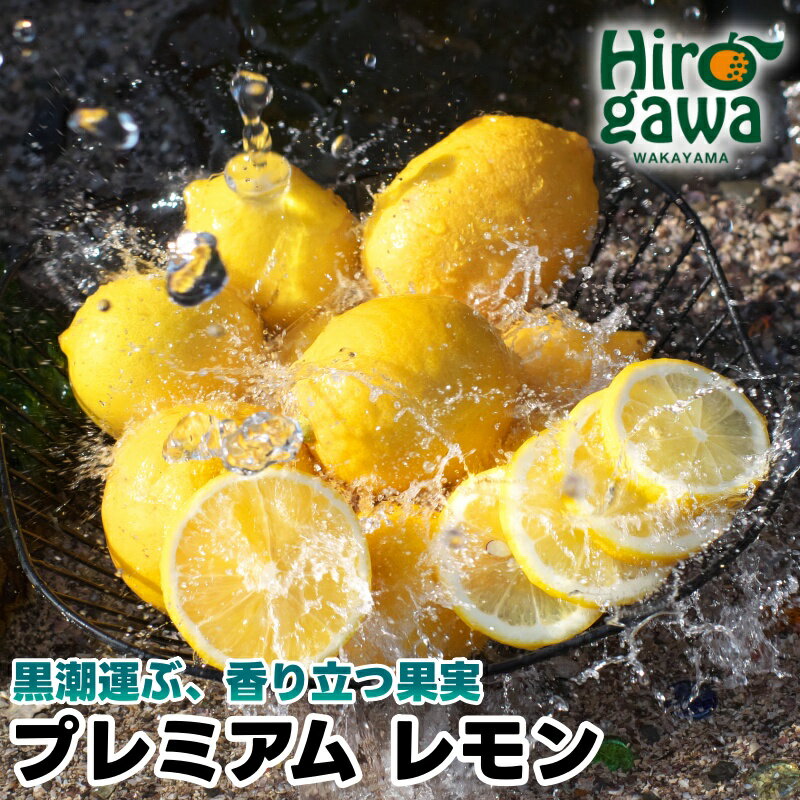 レモン 有田プレミアム 2kg 5kg ※2026年3月上旬～2026年4月下旬に順次発送 // 檸檬 国産レモン 国産檸檬 はちみつレモン 和歌山 有田 果汁 家庭用 訳あり わけあり 傷あり フードロス 柑橘 紀州 国産 防腐剤 ワックス不使用 //lemon