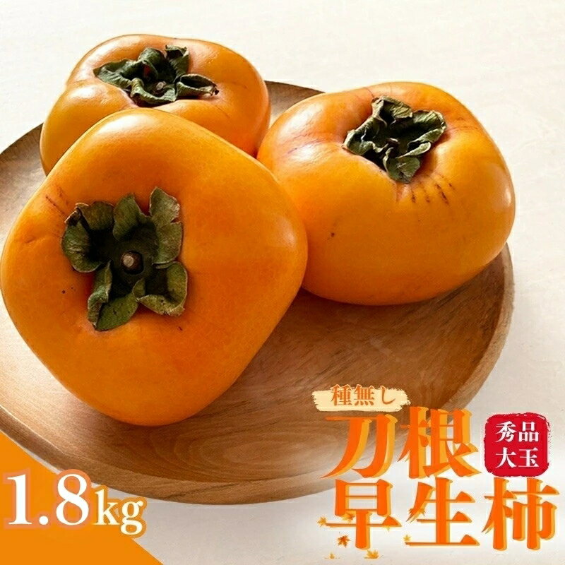 刀根早生 柿 種無し 6個入 約1.8kg 秀品 大玉 / 柿 かき フルーツ 果物 くだもの 食品 人気 おすすめ ※離島への配送不可 ※2026年9月下旬頃より10月下旬に順次発送 //hokaf