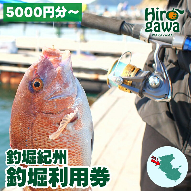 釣り堀 紀州 5000円 利用券 / 体験チケット 釣堀り いかだ釣り 筏釣り 海釣り 和歌山 関西 近畿 //ticket