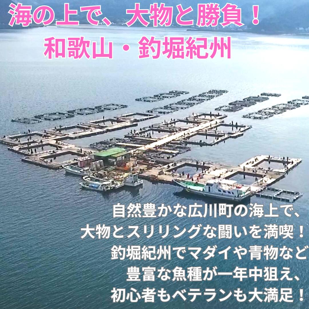 【ふるさと納税】 釣り堀 紀州 5000円 利用券 / 体験チケット 釣堀り いかだ釣り 筏釣り 海釣り 和歌山 関西 近畿 //ticket サムネイル2