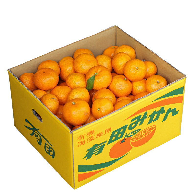 【ふるさと納税】 有田みかん 5kg 10kg 11000円 16000円 海藻施用 手選果 ※11月中旬から1月下旬頃に順次発送 / 温州みかん みかん 柑橘 くだもの 果物 果実 フルーツ 和歌山 紀州 有田 //mandarin サムネイル3