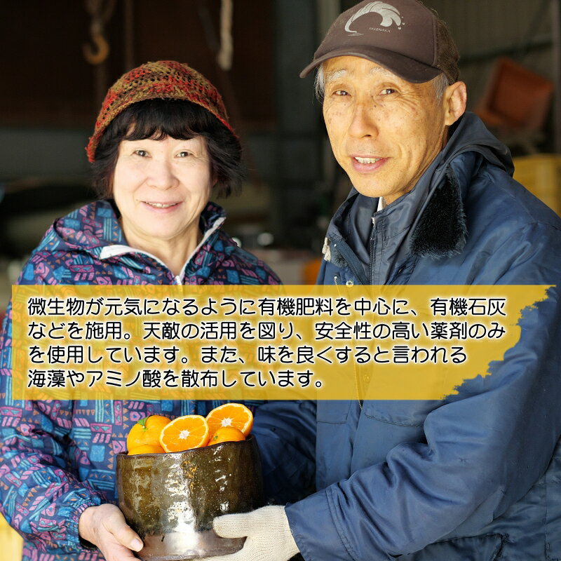 【ふるさと納税】 有田みかん 5kg 10kg 11000円 16000円 海藻施用 手選果 ※11月中旬から1月下旬頃に順次発送 / 温州みかん みかん 柑橘 くだもの 果物 果実 フルーツ 和歌山 紀州 有田 //mandarin サムネイル2