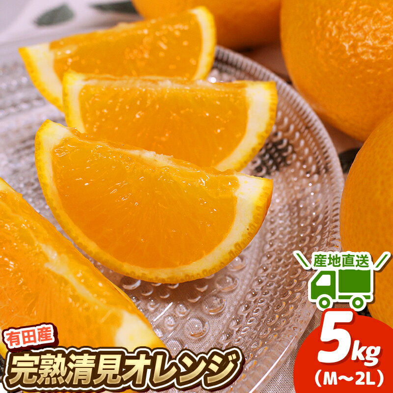 清見 オレンジ 5kg 先行予約 ＼ みかんの名産地 和歌山県産 ／ 農家 直送 完熟 (M〜2Lサイズおまかせ) ひとつひとつ手選別で厳選【3月中旬～4月下旬頃順次発送予定】 / ミカン 蜜柑 くだもの フルーツ 果物 果実 和歌山 有田 清見 きよみ //dekopon