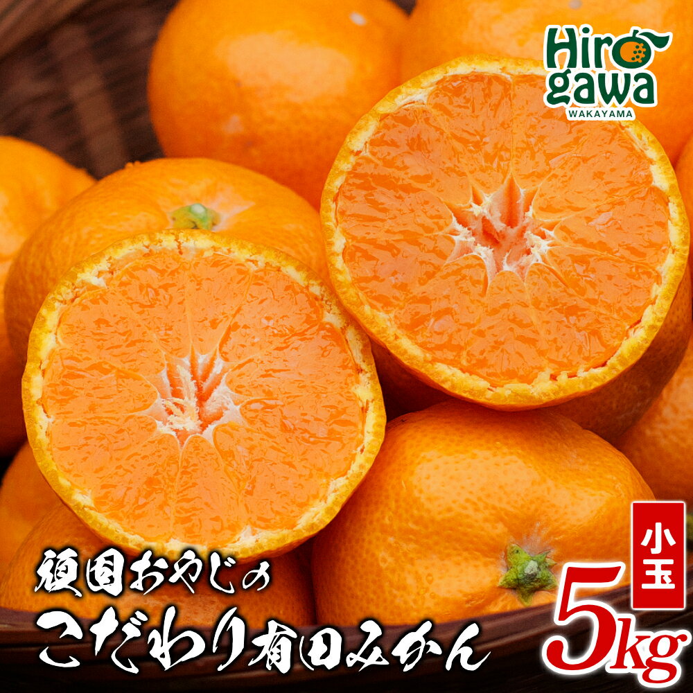 頑固オヤジの 有田 みかん 小玉 5kg / 温州みかん 有田みかん 甘い 小粒 ちっちゃい 家庭用 訳あり 和歌山 柑橘 ※2026年11月中旬～2027年1月下旬に順次発送 //mandarin