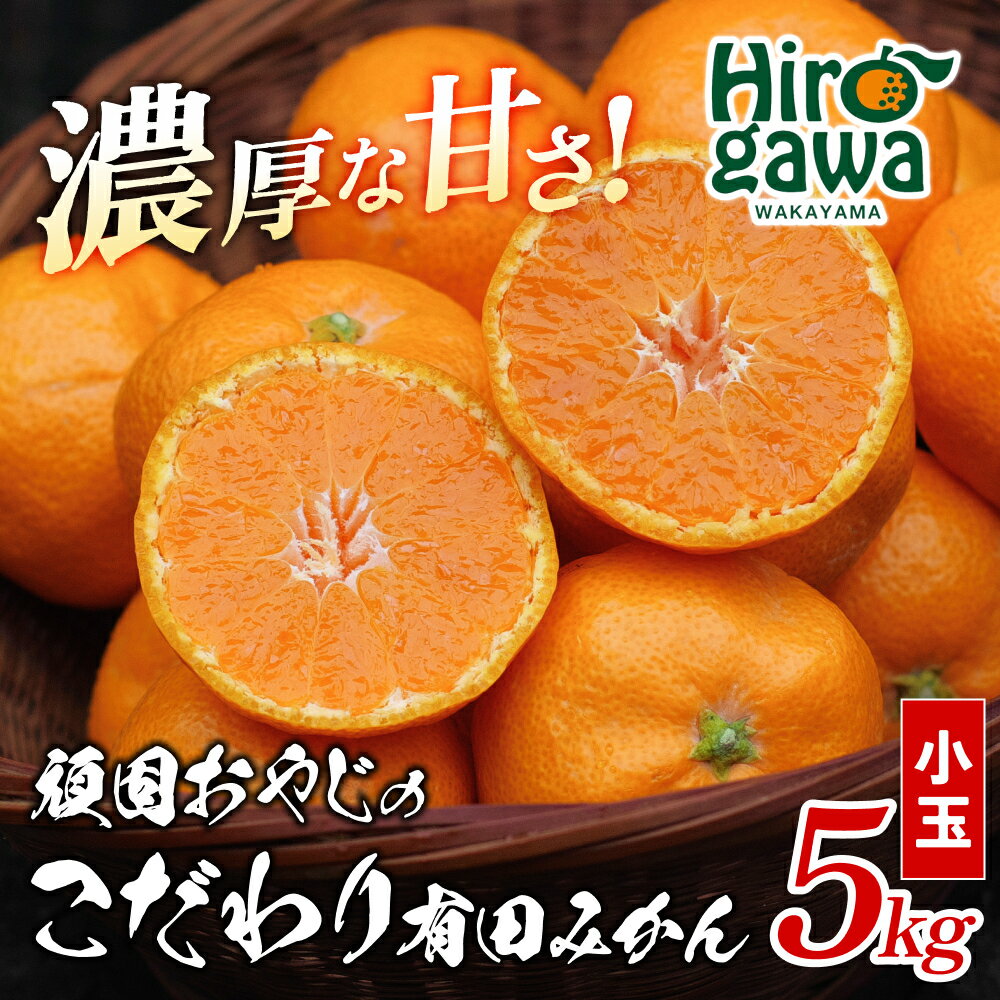 【ふるさと納税】 頑固オヤジの 有田 みかん 小玉 5kg / 温州みかん 有田みかん 甘い 小粒 ちっちゃい 家庭用 訳あり 和歌山 柑橘 ※2026年11月中旬～2027年1月下旬に順次発送 //mandarin - 画像2