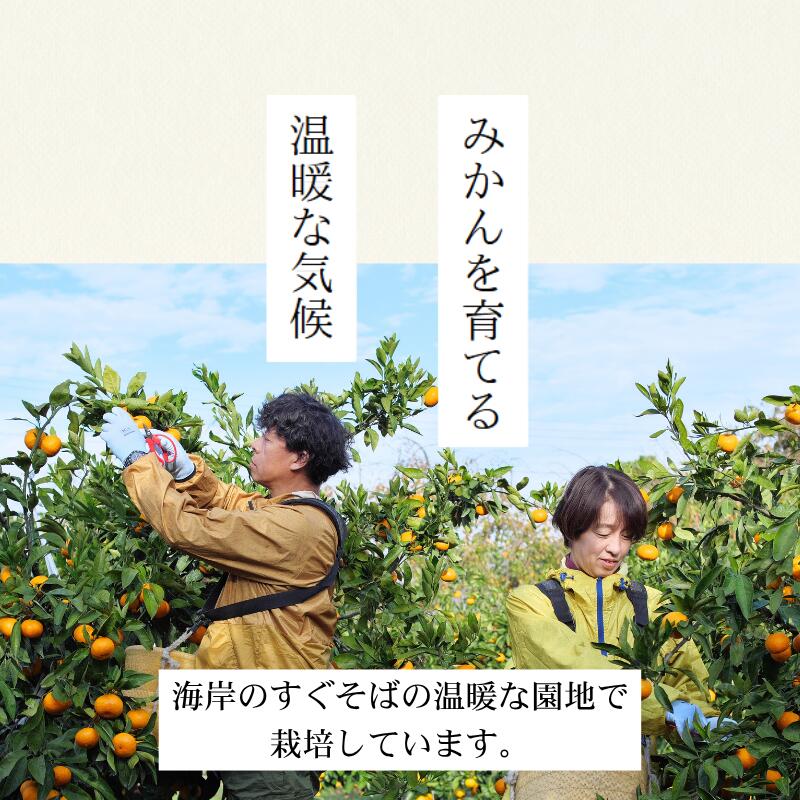【ふるさと納税】 完熟 有田 みかん 訳あり 久幸園 / 温州みかん 有田みかん 甘い 家庭用 和歌山 柑橘 5kg 10kg 10000円 ※11～12月順次発送 //mandarin サムネイル3