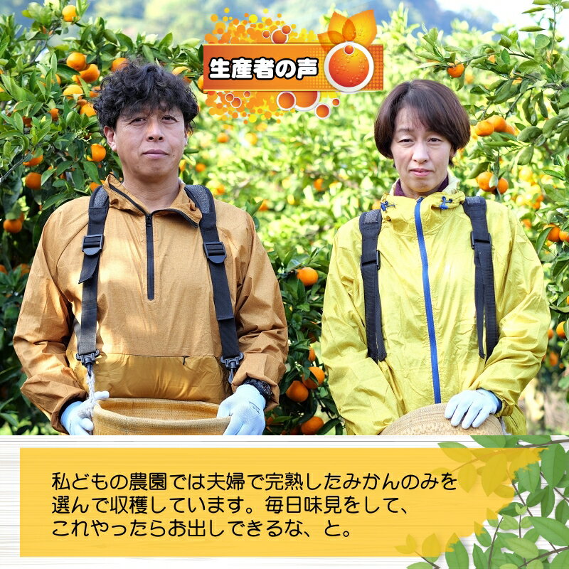 【ふるさと納税】 完熟 清見 オレンジ 久幸園 / 清見オレンジ 清見タンゴール きよみ 清美 甘い 高級 和歌山 柑橘 2kg 5kg 6000円 7000円 ※4月上旬～5月下旬に順次発送 //dekopon サムネイル3