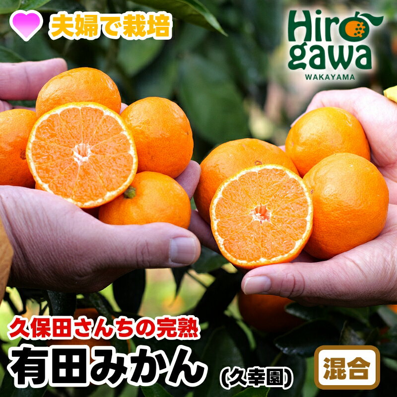 完熟 有田 みかん サイズ混合 久幸園 / 温州みかん 有田みかん 甘い 家庭用 和歌山 柑橘 2kg 5kg 10kg 7000円 ※11月中旬〜12月下旬に順次発送 //mandarin