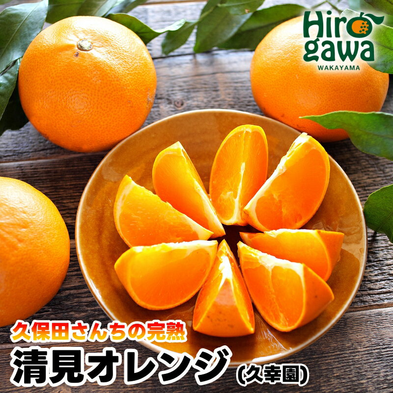 完熟 清見 オレンジ 久幸園 / 清見オレンジ 清見タンゴール きよみ 清美 甘い 高級 和歌山 柑橘 2kg 5kg 6000円 7000円 ※4月上旬～5月下旬に順次発送 //dekopon