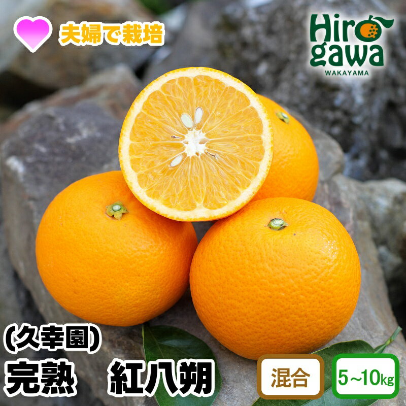 完熟 紅 八朔 5kg 7kg 10kg 10000円 13000円 17000円 久幸園 ※3月中旬〜4月中旬頃に順次発送予定 / 紅八朔 はっさく 樹上完熟 完熟 木成り 柑橘 果物 くだもの フルーツ みかん 和歌山 有田 広川町 //hassaku