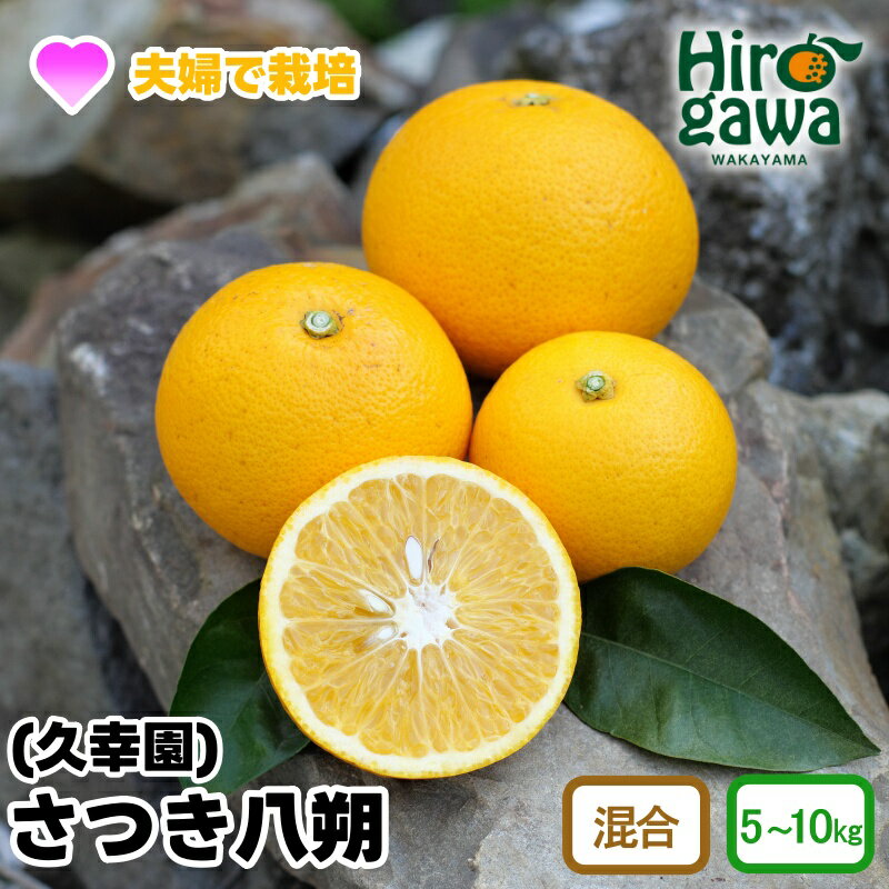 完熟 さつき 八朔 5kg 7kg 10kg 10000円 13000円 17000円 久幸園 ※4月上旬〜5月上旬頃に順次発送予定 / さつき八朔 はっさく 樹上完熟 完熟 木成り 柑橘 果物 くだもの フルーツ みかん 和歌山 有田 広川町 //hassaku