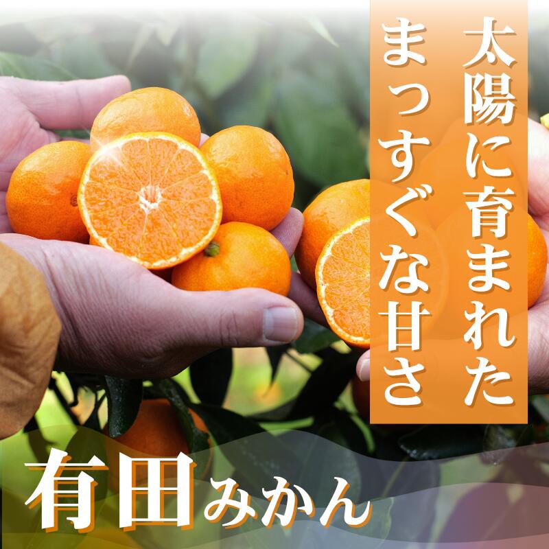 【ふるさと納税】 完熟 有田 みかん サイズ混合 久幸園 / 温州みかん 有田みかん 甘い 家庭用 和歌山 柑橘 2kg 5kg 10kg 7000円 ※11月中旬〜12月下旬に順次発送 //mandarin サムネイル3