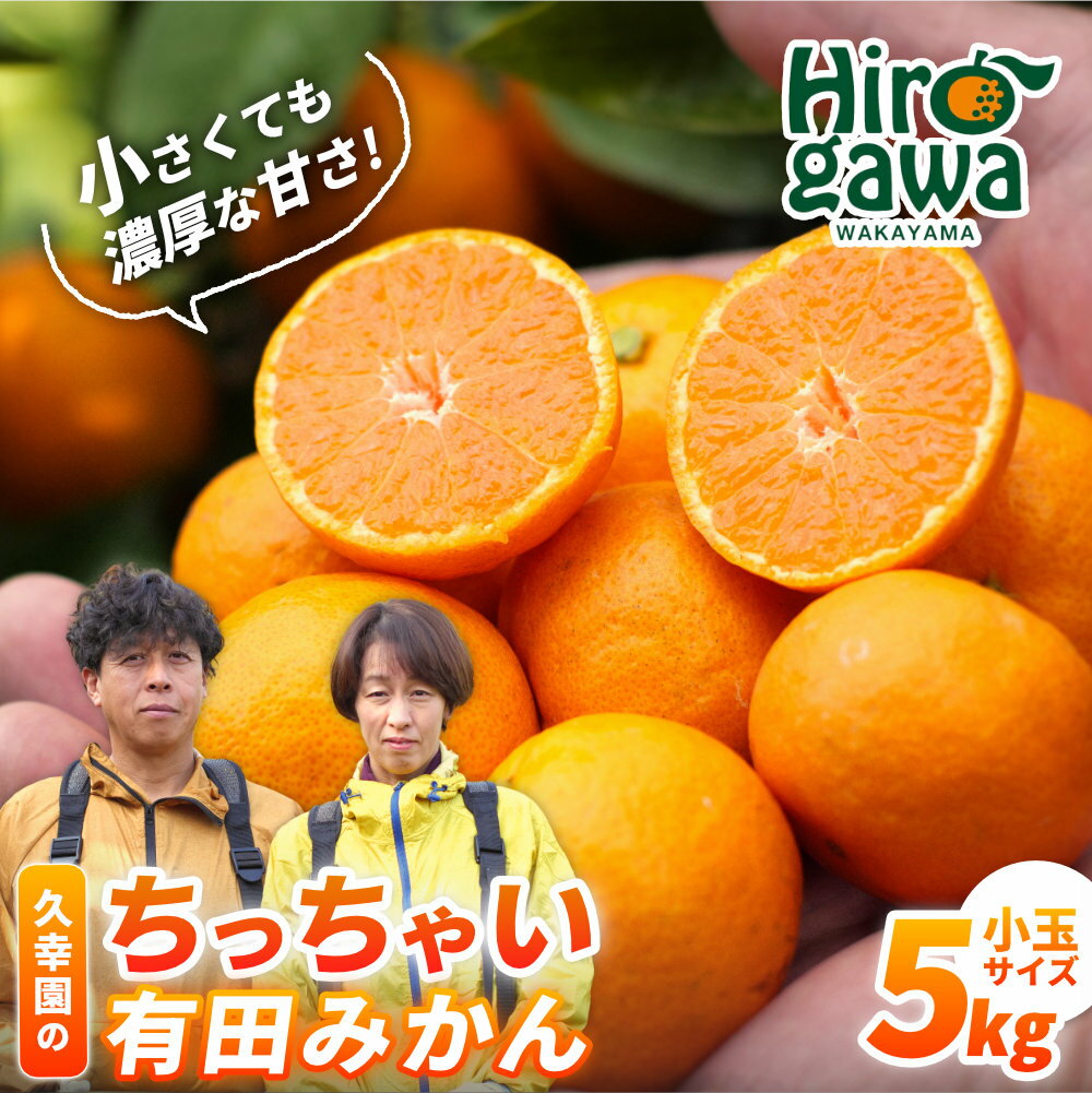 【ふるさと納税】 ちっちゃい 有田 みかん 久幸園 / 温州みかん 有田みかん 甘い 小玉 和歌山 柑橘 5kg ※2026年11月下旬〜2027年1月下旬に順次発送 //mandarin - 画像2