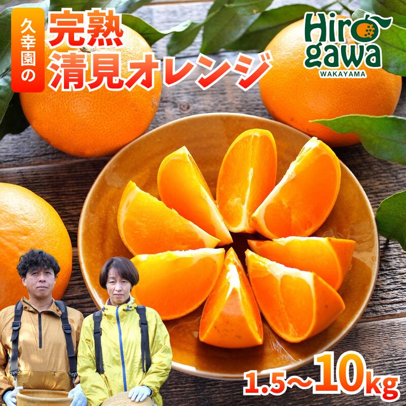完熟 清見 オレンジ 久幸園 / 清見オレンジ 清見タンゴール きよみ 清美 甘い 高級 和歌山 柑橘 2kg 5kg 6000円 7000円 ※4月上旬～5月下旬に順次発送 //dekopon