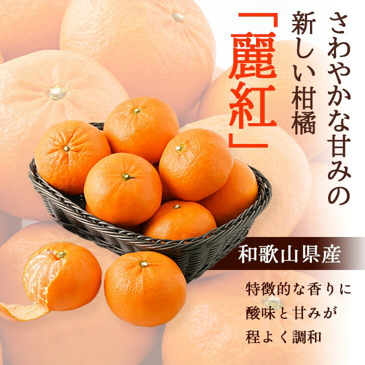 【ふるさと納税】 麗紅 （ れいこう ） 4kg / オレンジ 甘い 和歌山 有田 柑橘 ※2月中旬〜3月下旬に順次発送 //dekopon サムネイル2