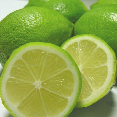 【ふるさと納税】【先行予約】 国産 紀州 和歌山 有田 レモン ※2025年9月下旬～2026年3月下旬に順次発送 ※北海道・沖縄・その他離島地域は発送不可 / 檸檬 くだもの 果実 柑橘 果物 フルーツ 国産 和歌山県 有田 //lemon サムネイル3