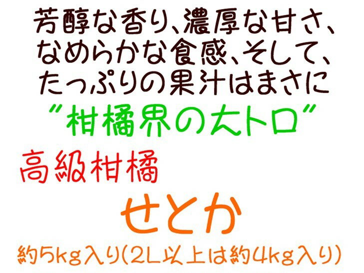 【ふるさと納税】【高級】 和歌山有田の濃厚 せとか 約4〜5kg ※2026年2月下旬～2026年3月中旬に順次発送 / くだもの フルーツ 果実 果物 有田 みかん 晩柑 和歌山 //dekopon サムネイル2