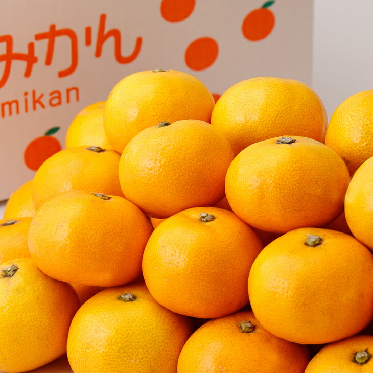 【ふるさと納税】 こだわりの 有田 みかん 7.5kg 10kg (3Lサイズ以上) 12000円 家庭用 光センサー選別 / 温州みかん 有田みかん 甘い お試し 送料無料 和歌山 柑橘 ※11月中旬～12月下旬に順次発送 ※北海道・沖縄・離島への配送不可 //mandarin サムネイル3