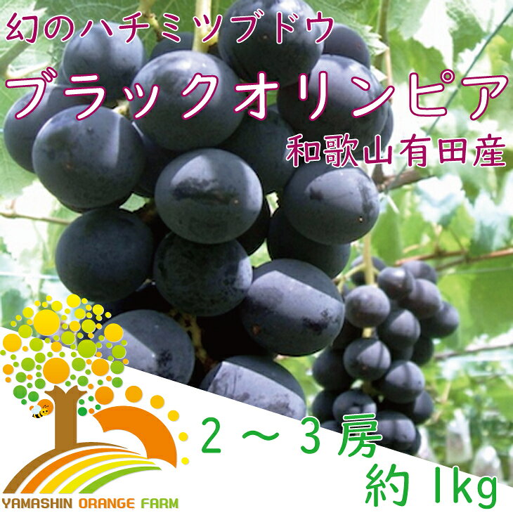 ブラックオリンピア 約1kg 2〜3房 / ぶどう 巨峰 甘い 和歌山 ※8月上旬～下旬に順次発送予定 ※北海道・沖縄・離島への配送不可 //hokaf