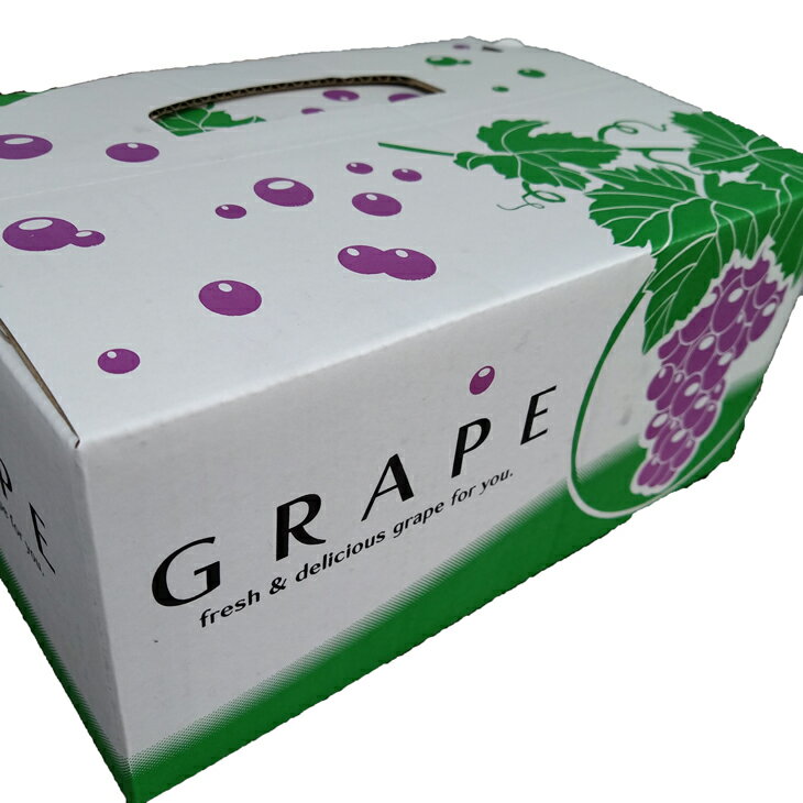 【ふるさと納税】 ブラックオリンピア 約1kg 2〜3房 / ぶどう 巨峰 甘い 和歌山 ※8月上旬～下旬に順次発送予定 ※北海道・沖縄・離島への配送不可 //hokaf - 画像3