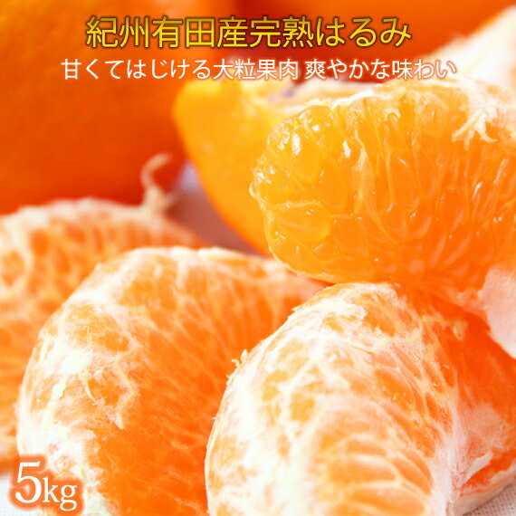 果肉ぷりぷり！完熟 はるみ 5kg / みかん 甘い 和歌山 柑橘 ※2026年2月中旬頃～下旬頃発送予定 ※離島への配送不可 //dekopon