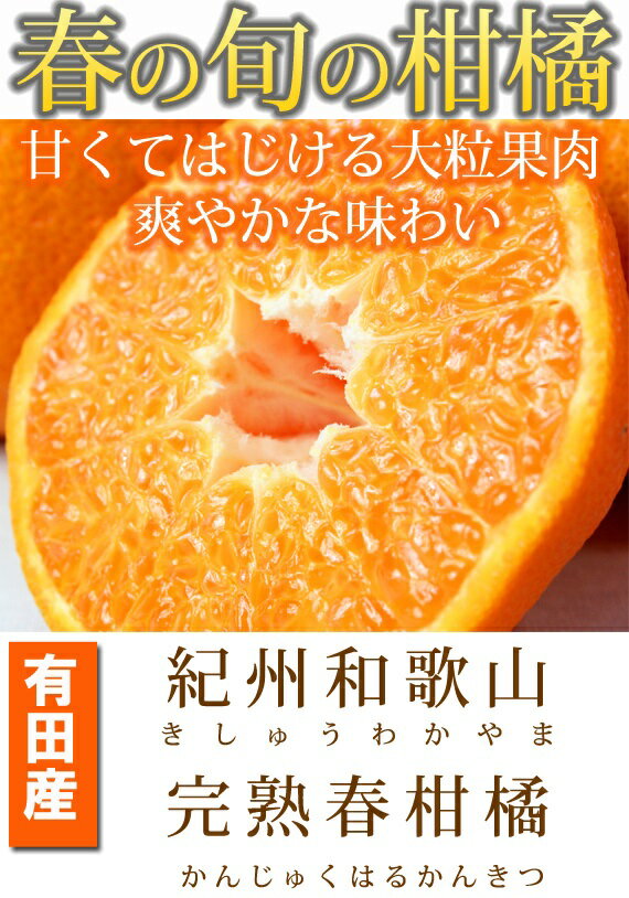 【ふるさと納税】 果肉ぷりぷり！完熟 はるみ 5kg / みかん 甘い 和歌山 柑橘 ※2026年2月中旬頃～下旬頃発送予定 ※離島への配送不可 //dekopon サムネイル2