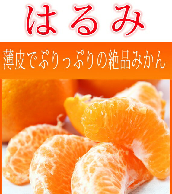 【ふるさと納税】 果肉ぷりぷり！完熟 はるみ 5kg / みかん 甘い 和歌山 柑橘 ※2026年2月中旬頃～下旬頃発送予定 ※離島への配送不可 //dekopon サムネイル3