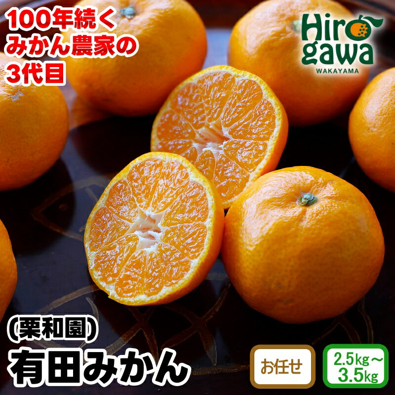 有田 みかん 栗和園 / 温州みかん 有田みかん 甘い 和歌山 柑橘 3kg 7000円 9000円 ※11月上旬～12月下旬に順次発送 //mandarin