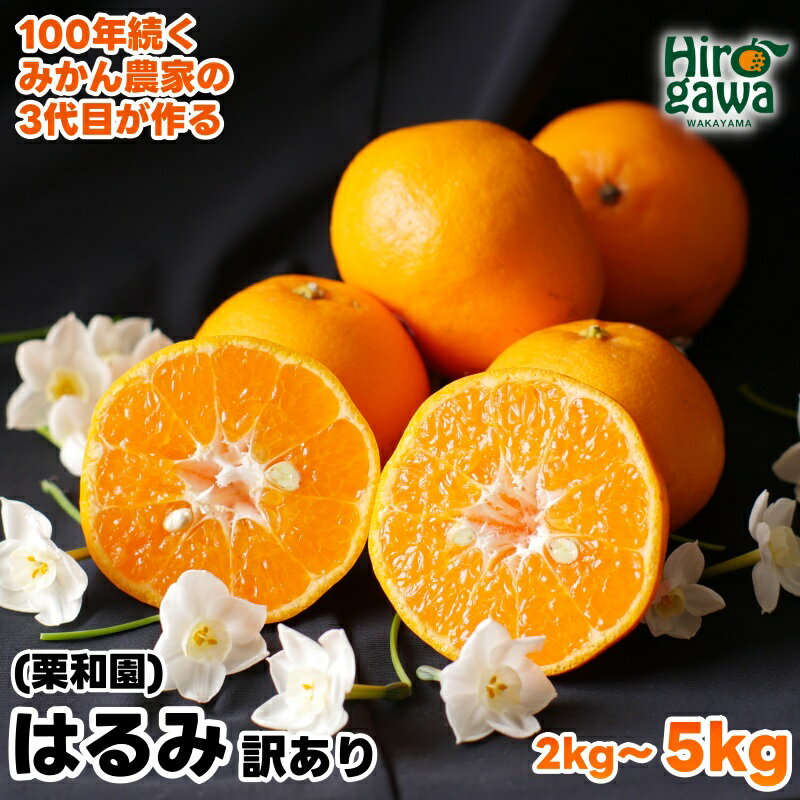 はるみ 家庭用 / 訳あり 甘い 和歌山 柑橘 2kg 5kg 7000円 ※2月中旬〜3月下旬に順次発送 //dekopon