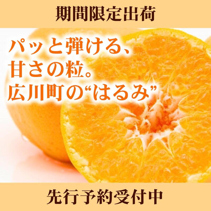 【ふるさと納税】 はるみ 家庭用 / 訳あり 甘い 和歌山 柑橘 2kg 5kg 7000円 ※2月中旬〜3月下旬に順次発送 //dekopon サムネイル2