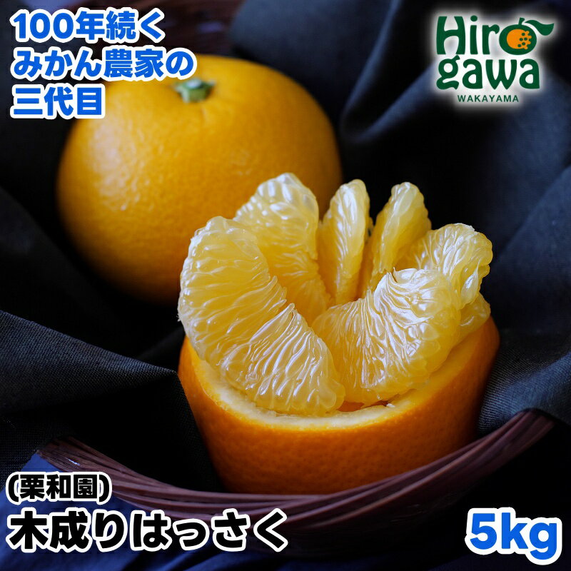 木成り はっさく 5kg サイズ混合 / 八朔 完熟 甘い 和歌山 柑橘 10000円 ※3月中旬〜4月上旬に順次発送 //hassaku