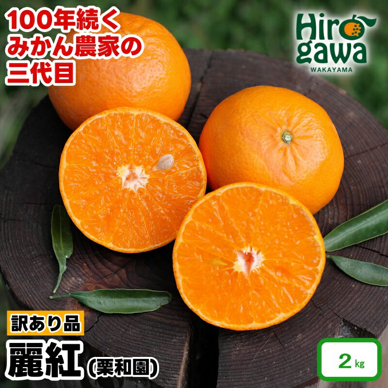 麗紅 （ れいこう ） 訳あり 2kg / オレンジ 甘い 家庭用 和歌山 有田 柑橘 7000円 ※2月中旬〜3月下旬に順次発送 //dekopon