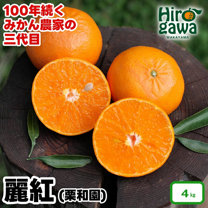 麗紅 （ れいこう ） 4kg / オレンジ 甘い 和歌山 有田 柑橘 ※2月中旬〜3月下旬に順次発送 //dekopon