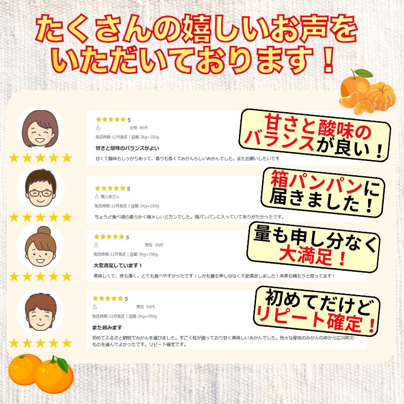 【ふるさと納税】 有田 みかん 訳あり 光センサー 選別 / 温州みかん 有田みかん 甘い 家庭用 お試し 送料無料 和歌山 柑橘 2kg 5kg 10kg 5000円 ※10月～12月順次発送 ※沖縄・離島への配送不可 //mandarin サムネイル3