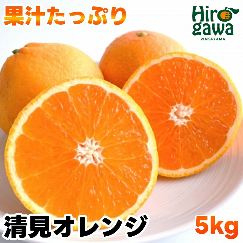清見 オレンジ 5kg サイズ混合 光センサー / 清見オレンジ 清見タンゴール きよみ 清美 甘い 和歌山 柑橘 ※3月上旬から3月下旬に順次発送予定 ※北海道・沖縄・離島への配送不可 //dekopon