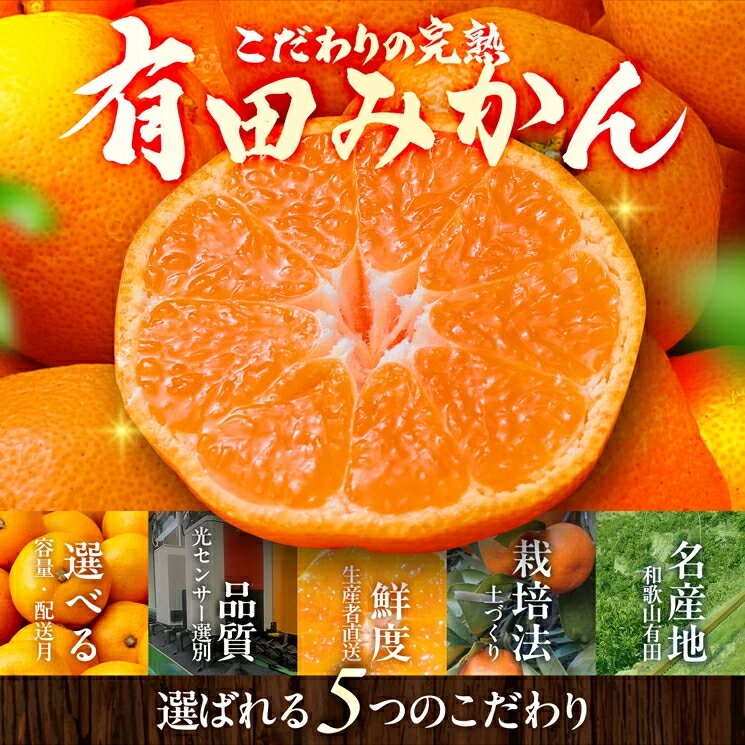 【ふるさと納税】 有田みかん 極 プレミアム (2S～Lサイズ) 光センサー選別 / みかん 甘い お試し 送料無料 和歌山 / 2kg 5kg 10kg 8000円 / ※11月下旬～翌年1月上旬頃に順次発送予定 ※北海道・沖縄・離島への配送不可 //mandarin サムネイル3