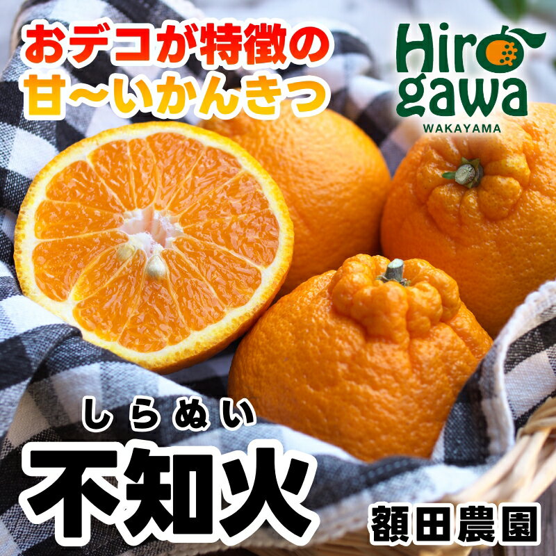 不知火 （ しらぬい ） サイズ混合 光センサー / デコポン 訳あり 高級 厳選 甘い 和歌山 柑橘 5kg ※2月中旬～4月中旬に順次発送 ※北海道・沖縄・離島への配送不可 //dekopon
