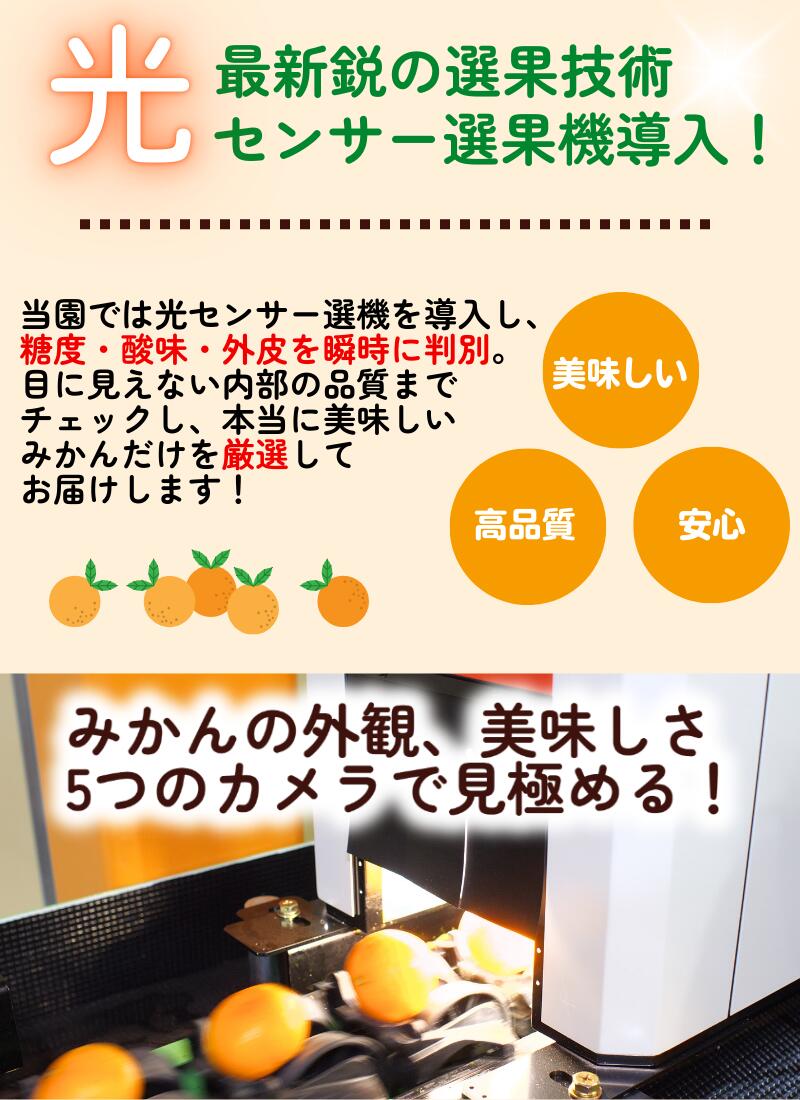 【ふるさと納税】 極早生 みかん 家庭用 / 極早生みかん 温州みかん 甘い 家庭用 和歌山 柑橘 5kg 10kg 6000円 9000円 ※10月上旬～11月上旬順次発送 ※北海道・沖縄・離島への配送不可 //goku サムネイル2
