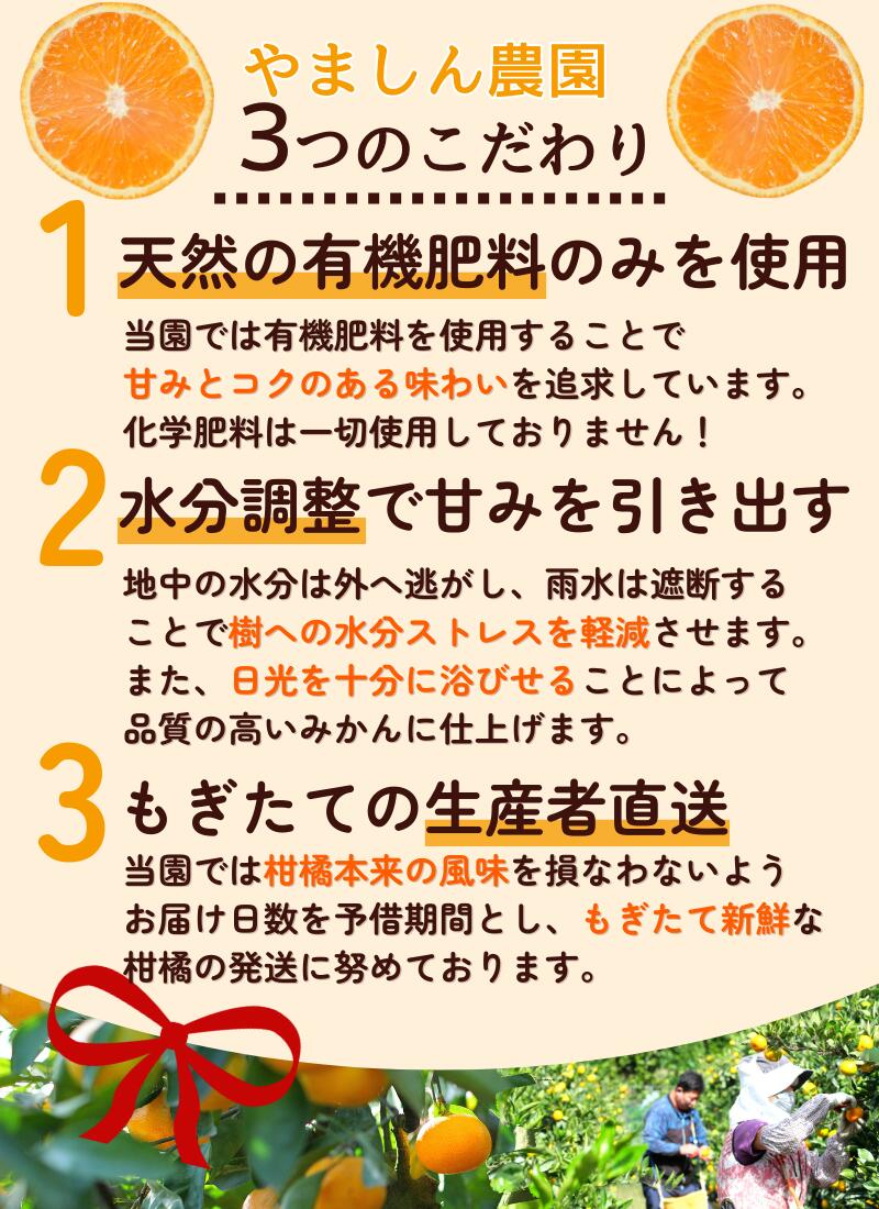 【ふるさと納税】 極早生 みかん 家庭用 / 極早生みかん 温州みかん 甘い 家庭用 和歌山 柑橘 5kg 10kg 6000円 9000円 ※10月上旬～11月上旬順次発送 ※北海道・沖縄・離島への配送不可 //goku サムネイル3
