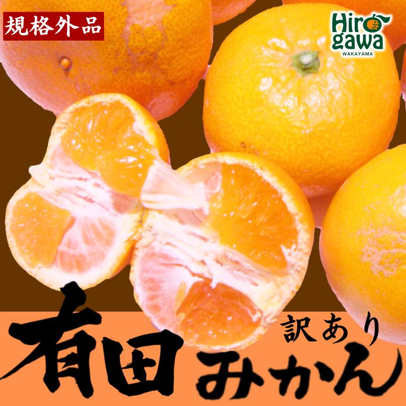 農家直送 有田 みかん 訳あり 光センサー 選別 / 温州みかん 有田みかん 甘い 家庭用 お試し 送料無料 和歌山 柑橘 5kg 10000円 ※11月中旬～1月中旬に順次発送 ※北海道・沖縄・離島への配送不可 //mandarin