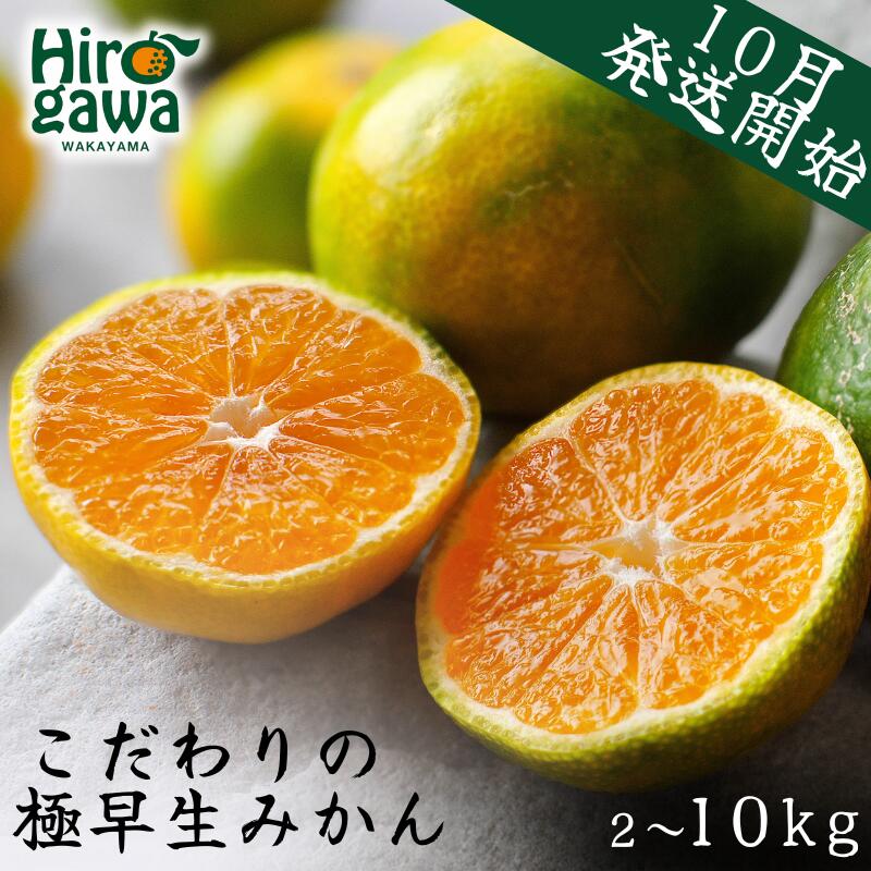 極早生 みかん 家庭用 / 極早生みかん 温州みかん 甘い 家庭用 和歌山 柑橘 5kg 10kg 6000円 9000円 ※10月上旬～11月上旬順次発送 ※北海道・沖縄・離島への配送不可 //goku