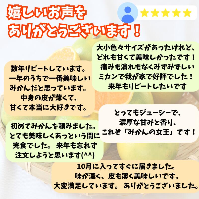 【ふるさと納税】 由良早生 みかん 家庭用 / ゆら早生 温州みかん 極早生 甘い 家庭用 和歌山 柑橘 5kg 10kg ※10月上旬～10月下旬順次発送 ※北海道・沖縄・離島への配送不可 //goku サムネイル2