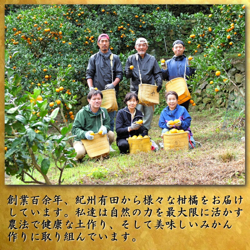 【ふるさと納税】 鹿蔵の 有田 みかん プレミアム 光センサー 選果 / 温州みかん 有田みかん 甘い 高級 厳選 和歌山 柑橘 お試し 送料無料 5kg 10kg 6000円 9000円 ※11月中旬〜1月下旬に順次発送 ※北海道・沖縄・離島への配送不可 //mandarin サムネイル2