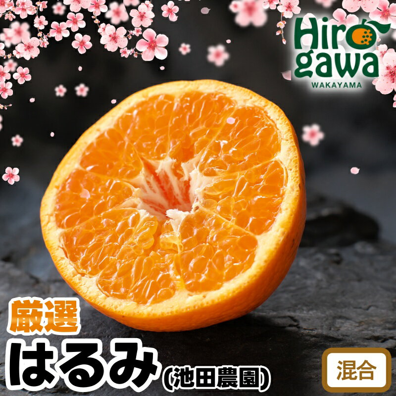 はるみ 厳選 光センサー / デコポン 姉妹品種 甘い 高級 和歌山 有田 柑橘 6000円 10000円 5kg 10kg ※2月上旬〜3月下旬に順次発送 ※北海道・沖縄・離島への配送不可 //dekopon
