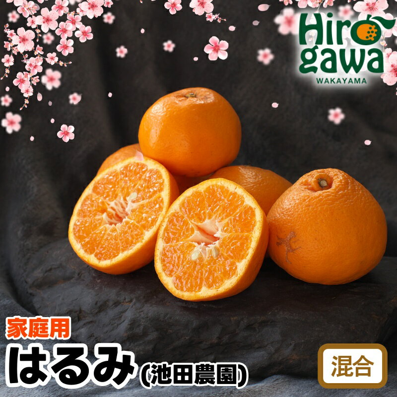 家庭用 はるみ 光センサー選別 / 訳あり 有田 みかん 柑橘 蜜柑 くだもの 果物 果実 フルーツ 和歌山 1kg 5kg 10kg 5000円 20000円 デコポン の姉妹品種 ※2月上旬～3月下旬頃に順次発送予定 ※北海道・沖縄・離島配送不可 //dekopon