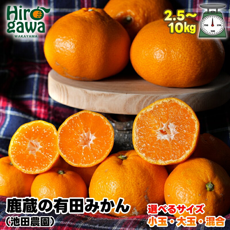 【ふるさと納税】 鹿蔵の 有田 みかん 家庭用 厳選 ハウス 光センサー 選果 / 温州みかん 有田みかん 甘い 訳あり 和歌山 柑橘 お試し 送料無料 2.5kg 5kg 10kg 5000円 6000円 ※10月～1月下旬順次発送 ※北海道・沖縄・離島への配送不可 //mandarin //goku サムネイル2
