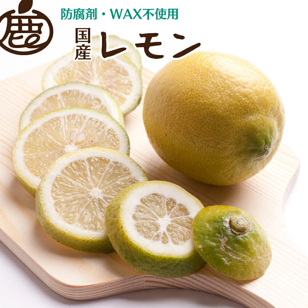 黒潮 レモン / 国産レモン 和歌山 有田 柑橘 防腐剤・WAX不使用 5000円 ※9月上旬〜翌年6月中旬に順次発送 ※北海道・沖縄・離島への配送不可 //lemon