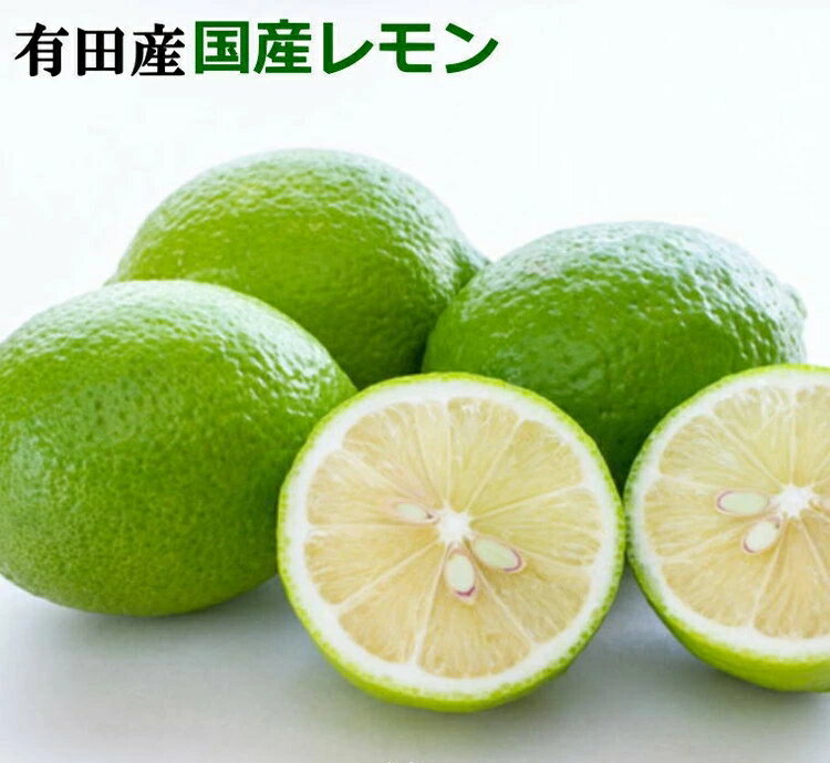 有田産 の 安心 国産 レモン (サイズ混合） / 和歌山 柑橘 ※着日指定不可 2025年10月中旬〜2026年4月下旬頃発送予定 //lemon