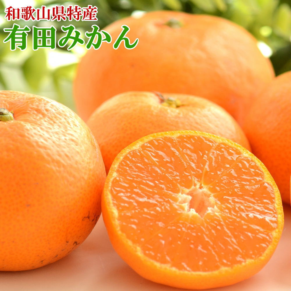 有田 みかん ＜秀品＞ / 温州みかん 有田みかん 甘い 訳あり 和歌山 柑橘 5kg 10kg 15000円 ※11月中旬〜1月中旬頃に順次発送予定 //mandari