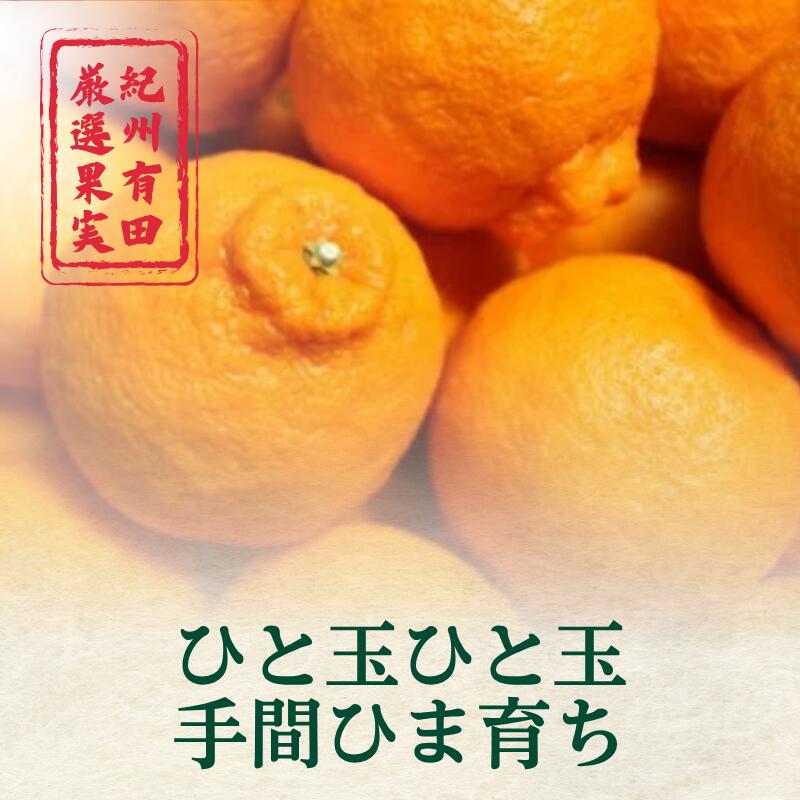 【ふるさと納税】【濃厚】 紀州 有田産 デコポン 約5kg（18玉〜24玉入り・青秀以上） / 甘い 和歌山 柑橘 ※2月中旬～3月中旬頃に順次発送予定 //dekopon サムネイル3